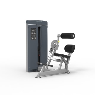 Abdominal/Back Extension