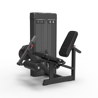 Leg Extension