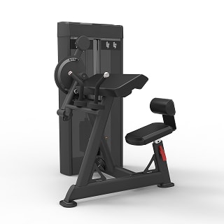 Biceps Curl/Triceps Extension