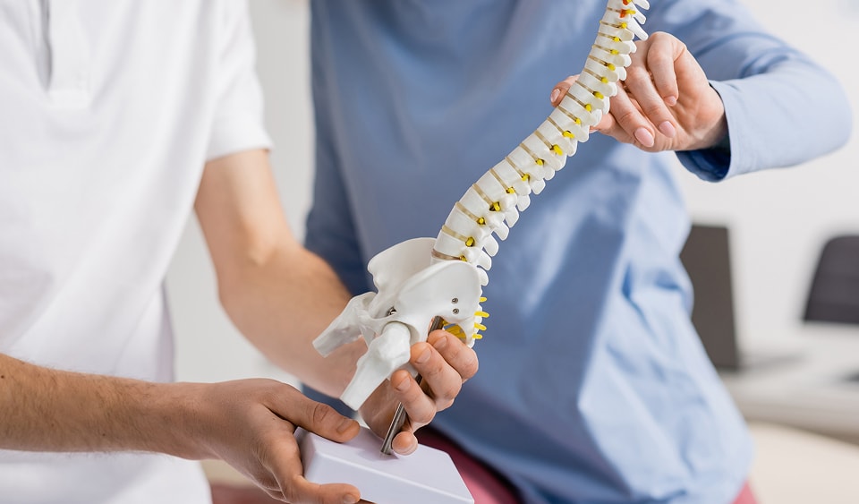 骨の模型を持ちながら説明する様子