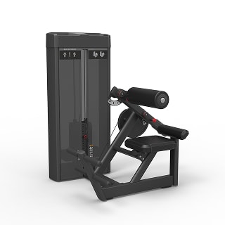 KG2010 Back Extension